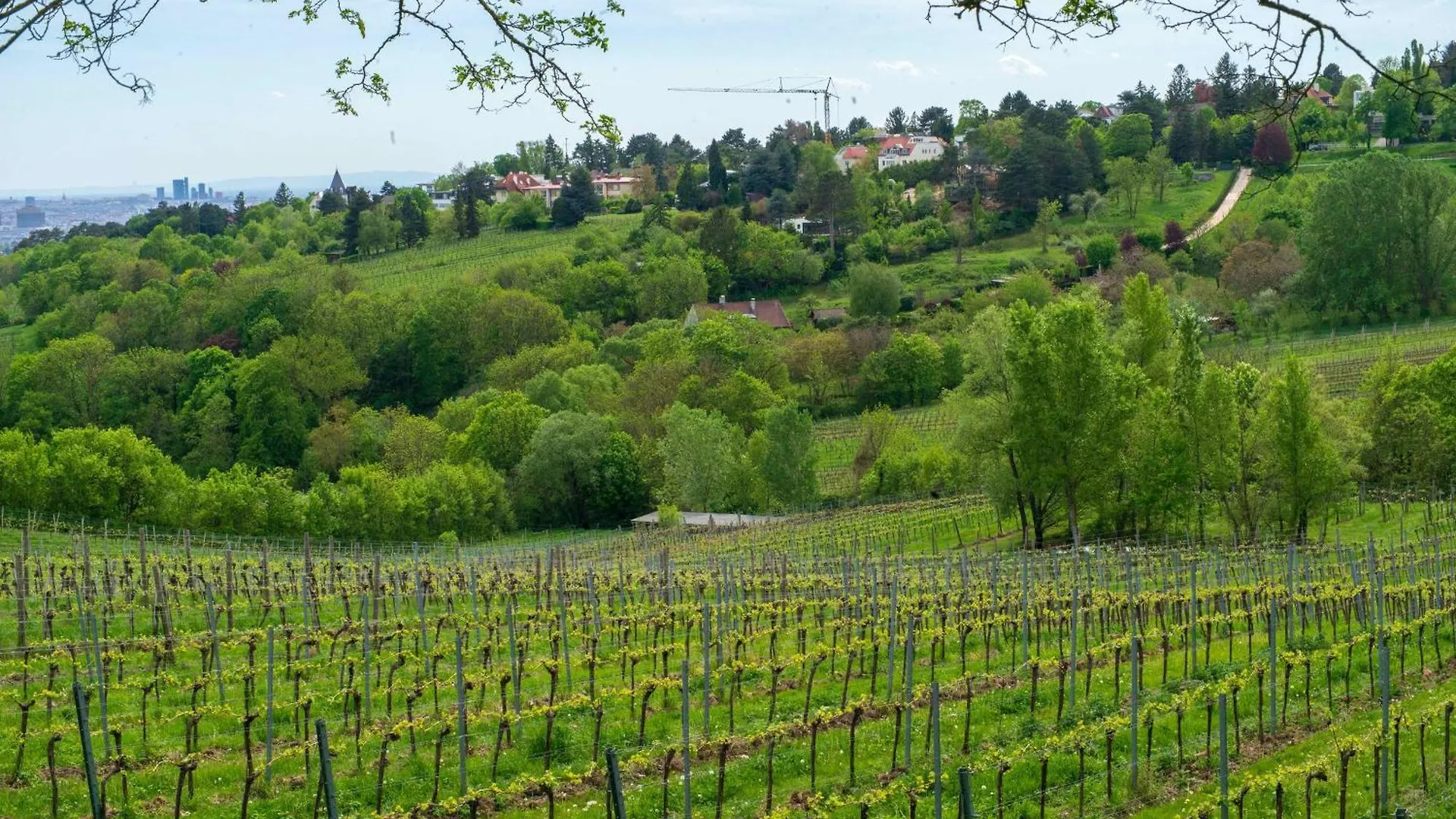 Διαμέρισμα Herrlicher Ausblick Ueber Wien