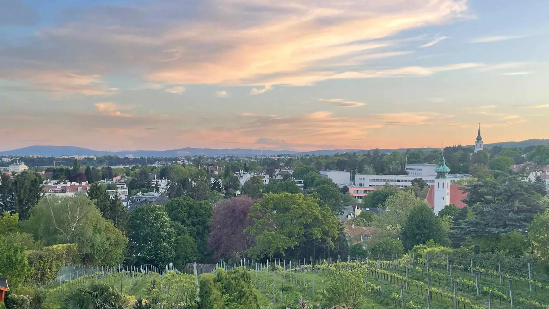 Herrlicher Ausblick Ueber Wien Austria