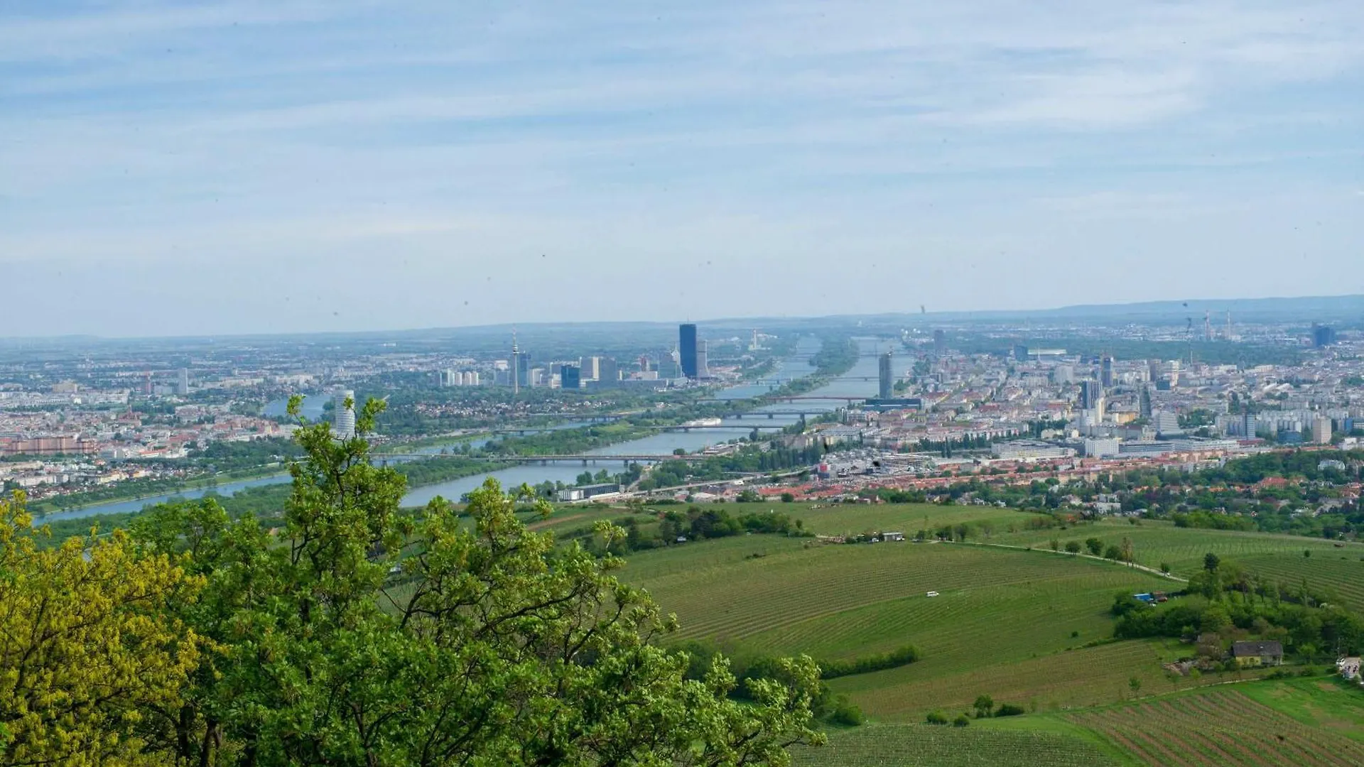 Apartment Herrlicher Ausblick Ueber Wien Austria
