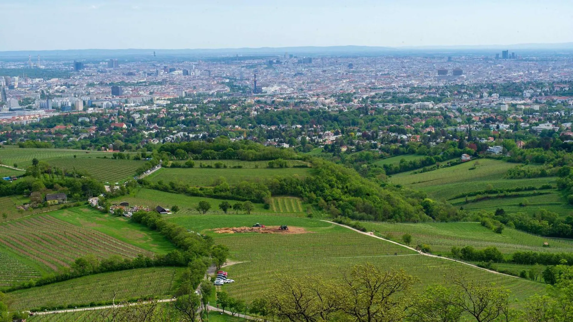Herrlicher Ausblick Ueber Wien Vienna
