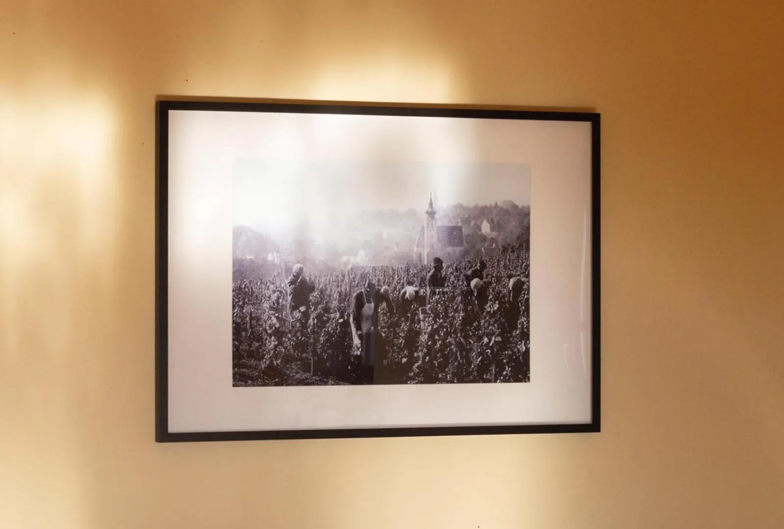 Appartamento Herrlicher Ausblick Ueber Wien